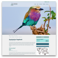 Website template for tourism