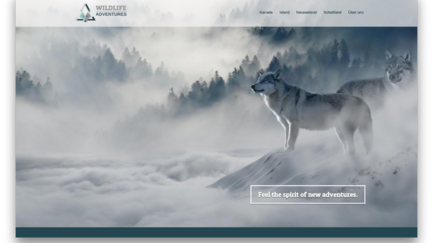 Zwei Wölfe stehen majestätisch in einer nebligen Landschaft, umgeben von schneebedeckten Bergen und dichten Wäldern.